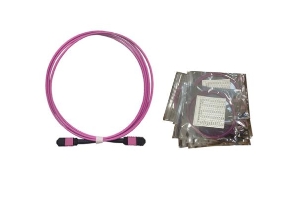 MPO MTP Multi Mode Type A OM4 8F 12F 24F LSZH 3.0mm Mpo Fiber