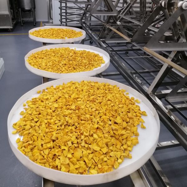 2450MHz Tropical Fruit Microwave Vacuum Dryer Industrial Tray Drying Oven