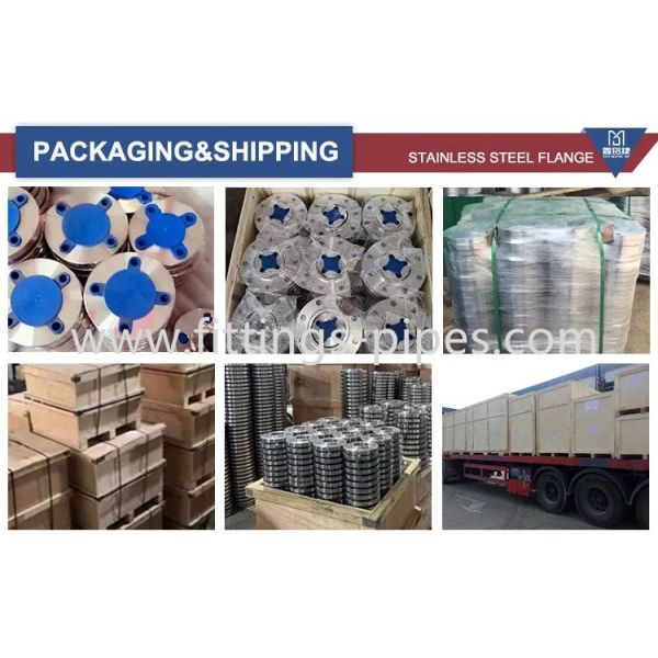 PN2.5.MPa Butt Welding Flange , M10 M27 Stainless Steel Forged Flanges