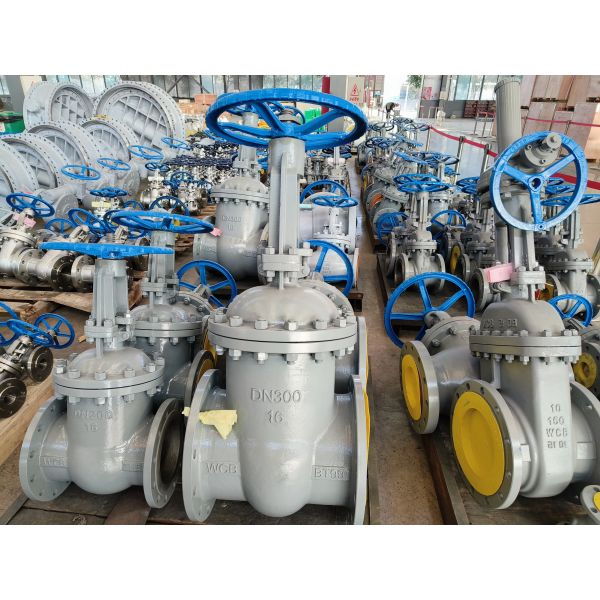 Cast Iron Corrosion Resistant Globe Valve For Chemical Industry