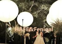 les lumières gonflables 2m blanches de 1m LED montent en ballon la décoration 800w d'activité