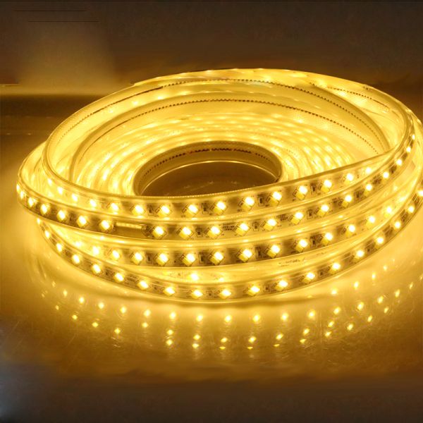 220V 5730 white warm white blue purple Flexible strip lighting led Double row 120chips/m LED strip lights/led light stri