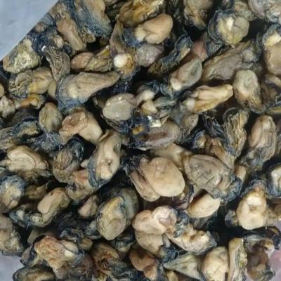 Chinese Dried Oyster Dry Oysters Dried Seafood Fresh Healthy