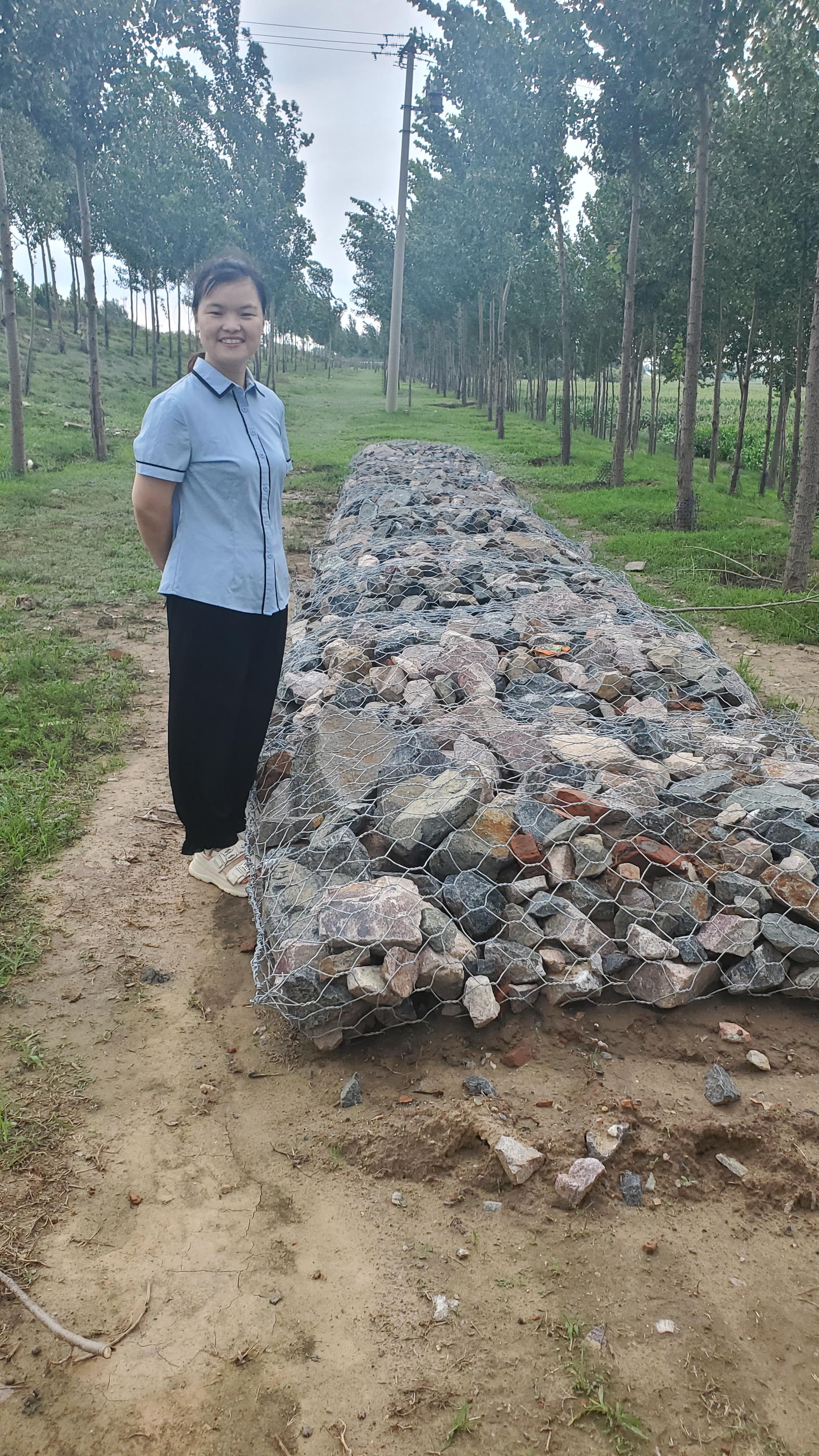 PVC Coated Gabion Basket Stone Cage for Slope Protection & Landscape Retaining Wall