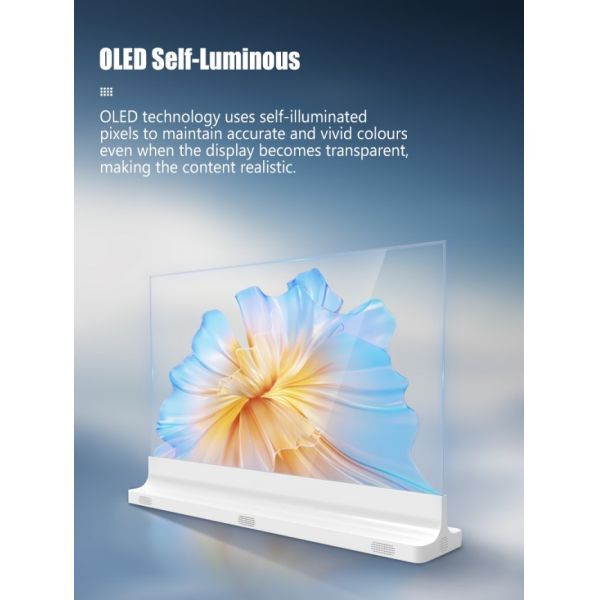 30 Inch 60Hz Refresh Rate Clear OLED Display for Smooth Motion Reduced Shading Lagging