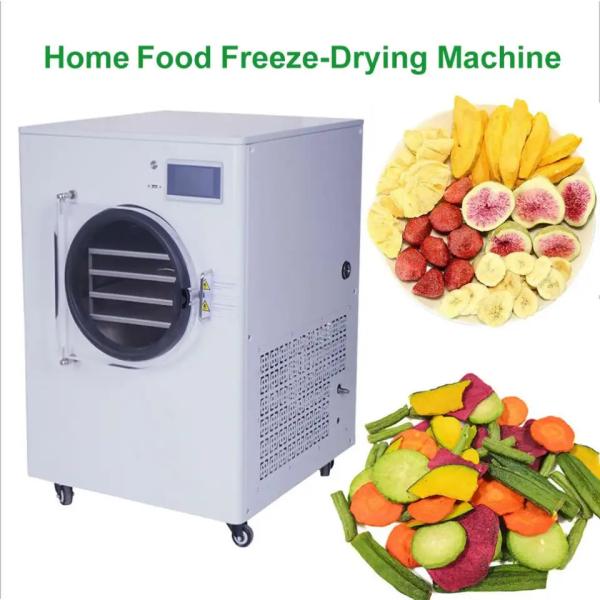 Hot Selling Wood Powder Kiln Temperature Vacuum Belt Drying Machine With Low Price