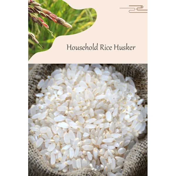 Commercial 30 kg/h moulin à riz frais germe moulin à riz brun petite machine de fraisage de la coquille de riz