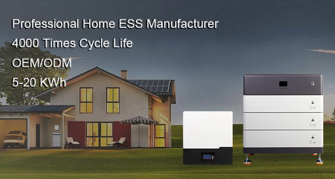 New Customized Home Wall-mounted Energy Storage Batteries 10Kwh 51.2V 48V 200Ah Lithium LiFePO4 Battery