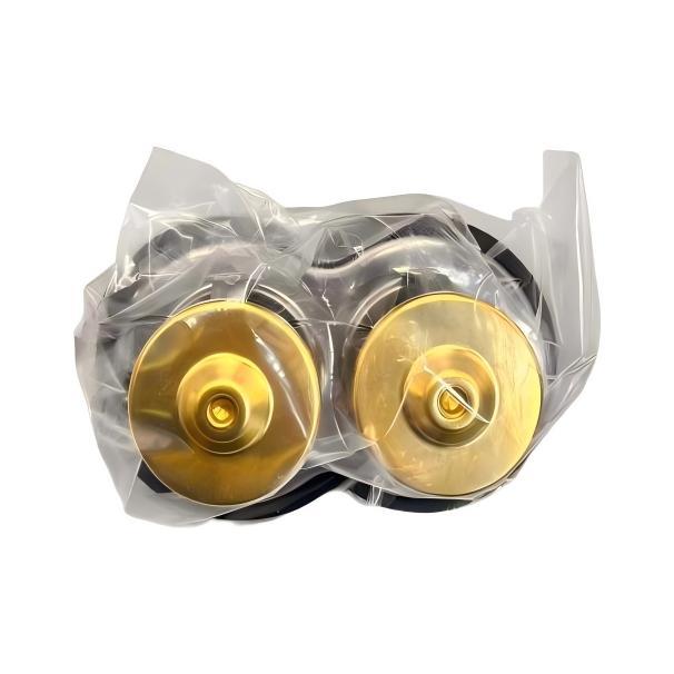 Dual Valve Engine Thermostat 725510 1849060 1800909 Maintain Balanced Temperature Under Heavy Load Operation