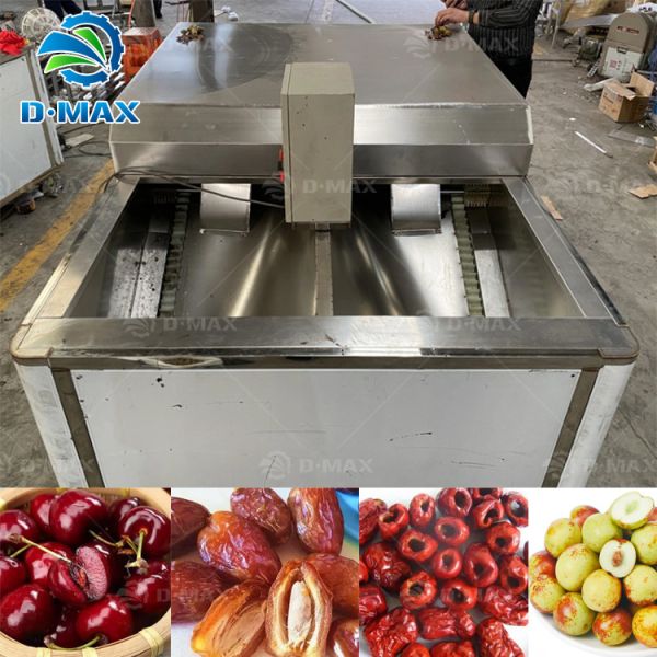 220v/380v/Customized Date Palm Seeds Removing Machine for Farm Jujube Palm Harvesting