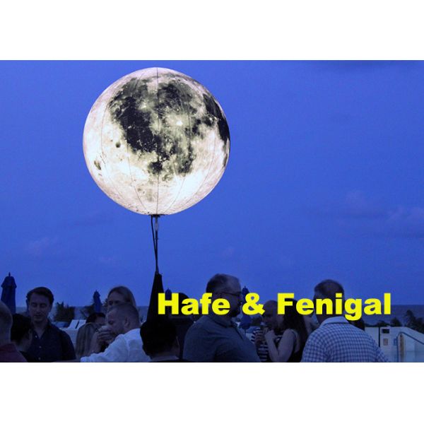 導かれたおよびハロゲン ランプが付いている400W膨脹可能なつく装飾