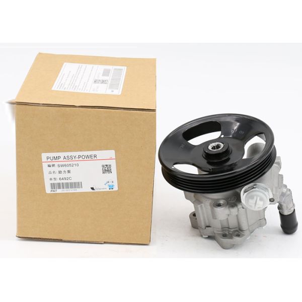 Delica Power Steering Pump , OEM Number SW605210 Auto Power Steering Pump