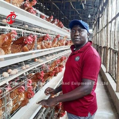 Resistência de oxidação galvanizada camada do sistema da gaiola de bateria das aves domésticas da galinha na exploração agrícola Mia