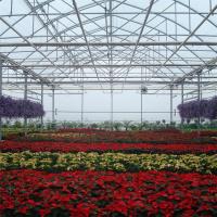 High Tunnel Gutters Air Circulation Multi Span Greenhouse for Flowers Growing