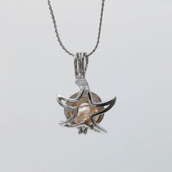 Pearl Cage Bead Cage Essential Oil Diffuser Locket Pendant Jewelry Making Oyster Pearl