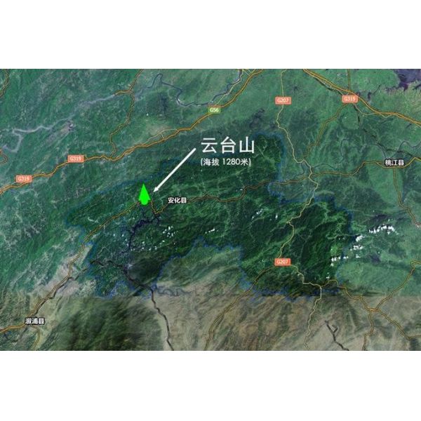 Hunan Dark Tea Anti Constipation Tea To Drink For Health , Anhua Dark Tea