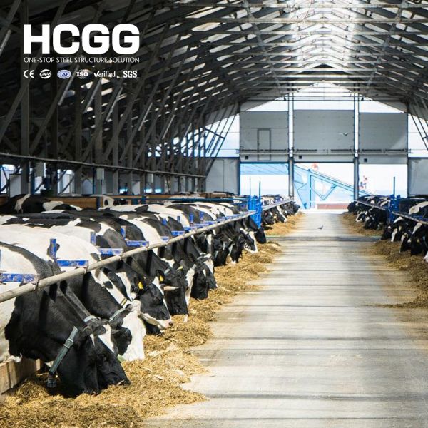 Customizable Size Steel Framed Poultry house Agricultural Buildings Rapid Install Anti Earthquake