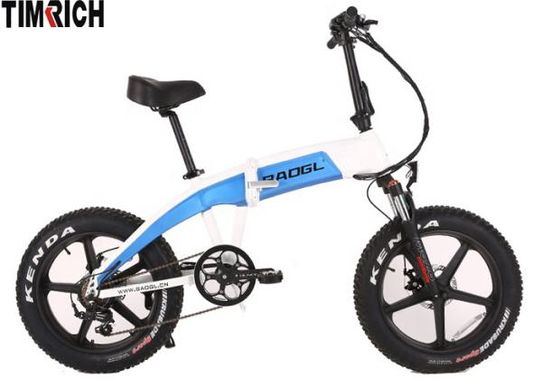 Fat Tire Lightweight Folding Electric Scooter E Bike TM-BGL-EFB10 20 For Adult