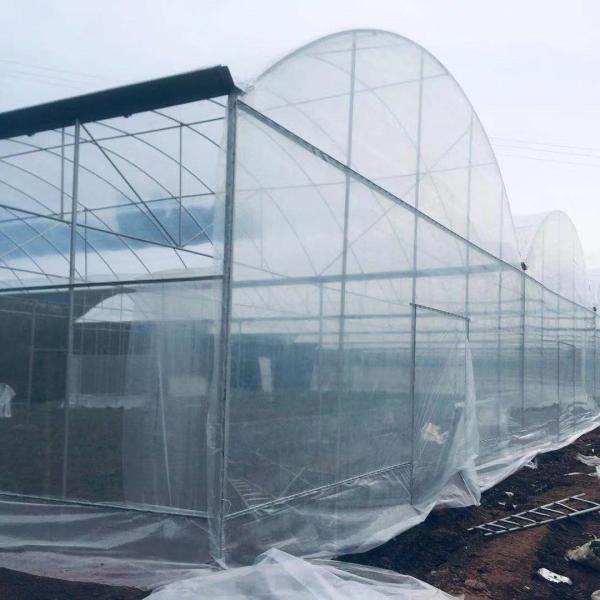 Estufa galvanizada quente do período da construção de aço da estufa agrícola da folha do polietileno multi