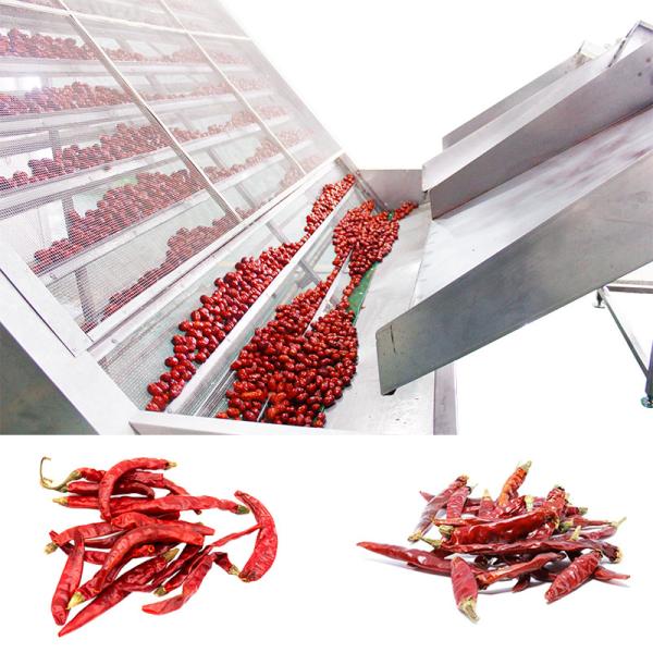 Large Vegetables Fruits Medicinal Materials Food Drying Machine