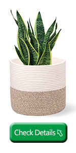 Home Decoration Basket For Plants Cotton Rope Woven Rattan Flower Pots Planter Cotton Rope Woven Rattan Flower Pots