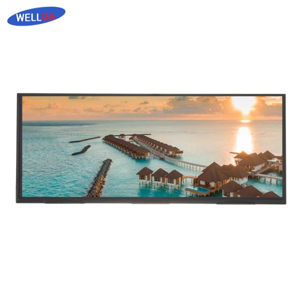 Экрана LCD модуля дисплея LCD взгляда 12,3 дюймов цвета 12,3 полно- живые