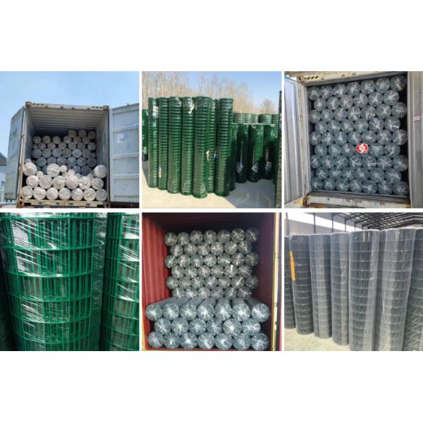 Hardware Cloth PVC Coated Galvanized Holland Welded Wire Mesh