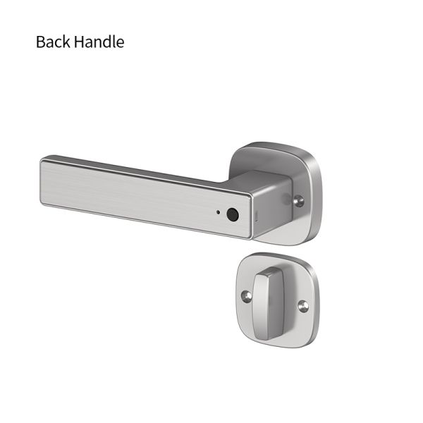 Tuya Smart Lock Durable Aluminum Alloy Auto Entry Door with Fingerprint Password Card and for Easy Installation