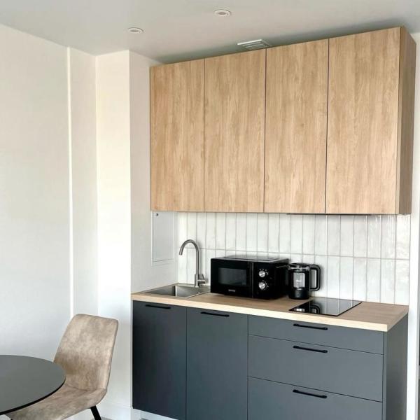 Projeto de gabinete de cozinha de mini-cozinha de melamina para gabinete de apartamento de cozinha de hotel