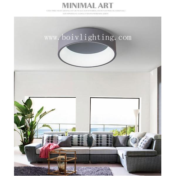 Gray Bedroom Book Room Spray Paint  Acrylic For Ceilibg Lightings And Handelier