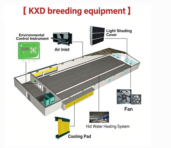600 kg Capacity Poultry Feeding Cart with DC Motor and Hot-Dip Galvanized Steel for Chicken Farming