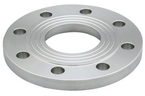 Class 300 Stainless Steel Flanges Welding Flange Ss304 Flat Plain