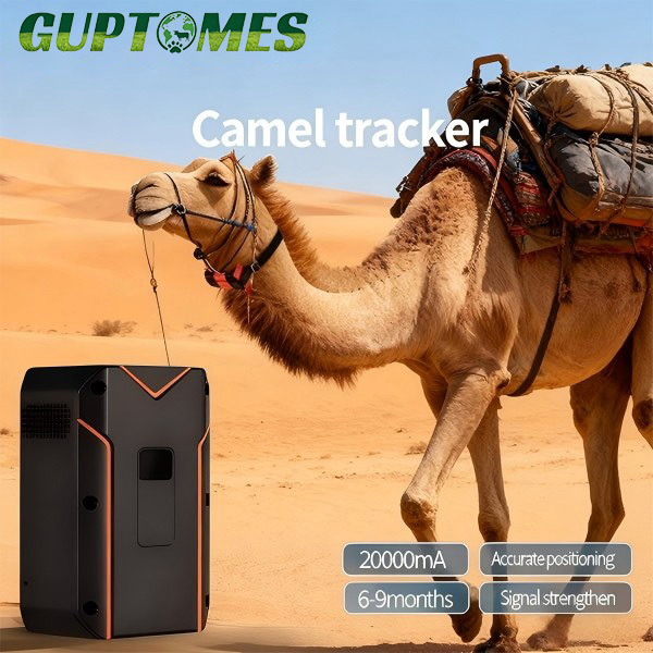 Camel GPS Monitoring Solution Real Time GPS Tracking With Voice Intercom