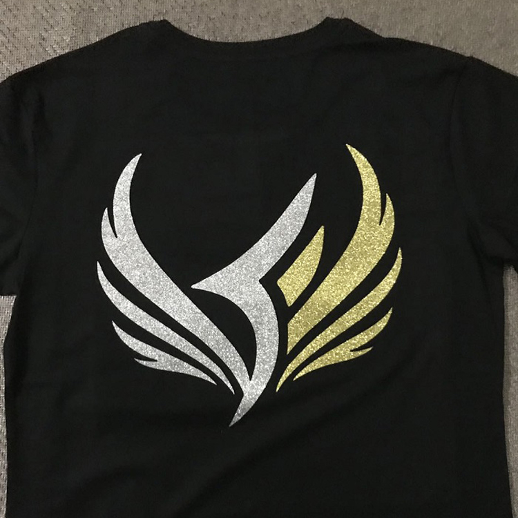 customized Fine Flake Glitter Iron On Logos/Metallic Glitter Vinyl Logos for Clothing