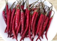 S17 a séché les poivrons rouges du Chili colle forme les épices entières de cosses de piments
