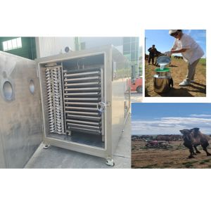 Compact Design Freeze Dry Fruit Machine With Refrigeration System