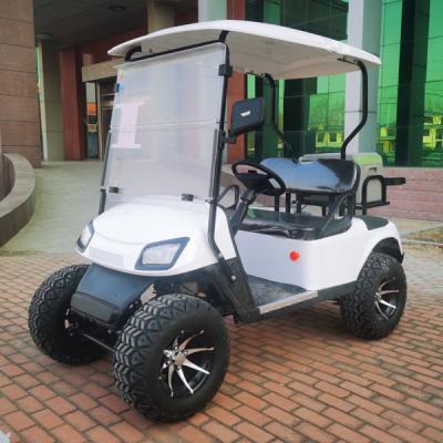 Carrinho de golfe EV personalizado 48V para 2 pessoas com bateria de íon de lítio 30mph