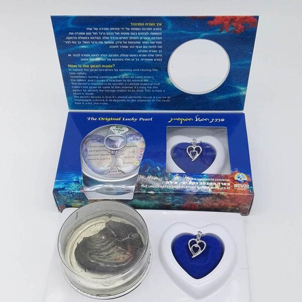 Custom Color Box DIY Wish Pearl Necklace Gift Box With Fashion Cage Pendant sending to Everybody