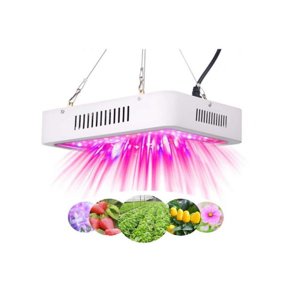 5130lm la LED qu'intelligente élèvent la lumière, 600 watts LED élèvent la lumi