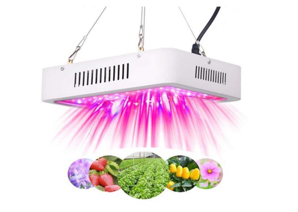 5130lm que o diodo emissor de luz inteligente cresce a luz, diodo emissor de luz de 600 watts crescem a luz 310*210*60mm