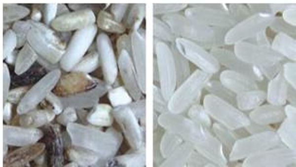 Optical CCD Sensor Rice Colour Sorting Machine 1 chute 32 channels