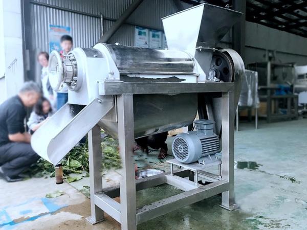 SUS304 1T/H 3T/H Fruit Juicing Machine For Pineapple Peeler