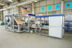 Tetra Brik Bottle Automated Case Packer Machine Customized