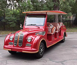 Standing Postion of Tail Caddie Equipped GCC Off Road Golf Cart Eec Gtv DOT Golfcart