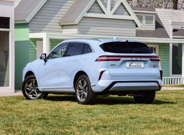Cheap New Energy Automatic Automotive Motor Power Electric Vehicle Hybrid Petrol Fuel Car