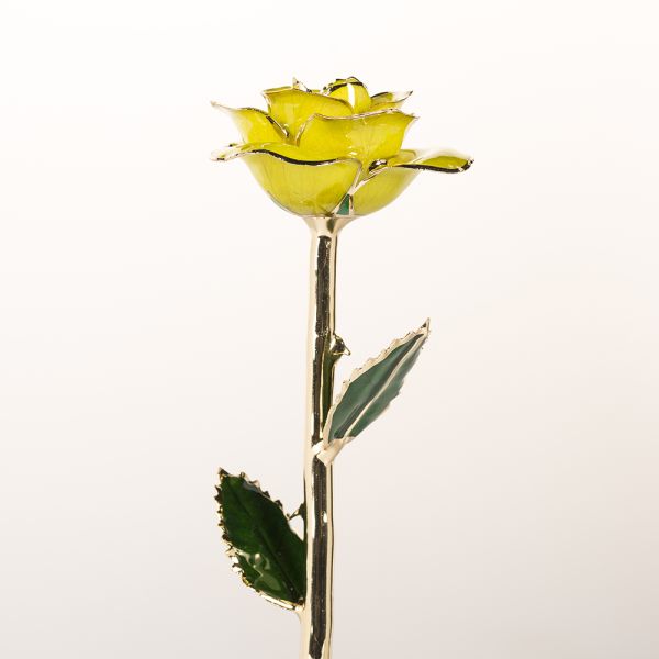 24k Gold Plated Rose  Handmade Preserved Rose Gold Rose Gift 2024 Upgraded Mother's Day Gift Factory Directly Supply