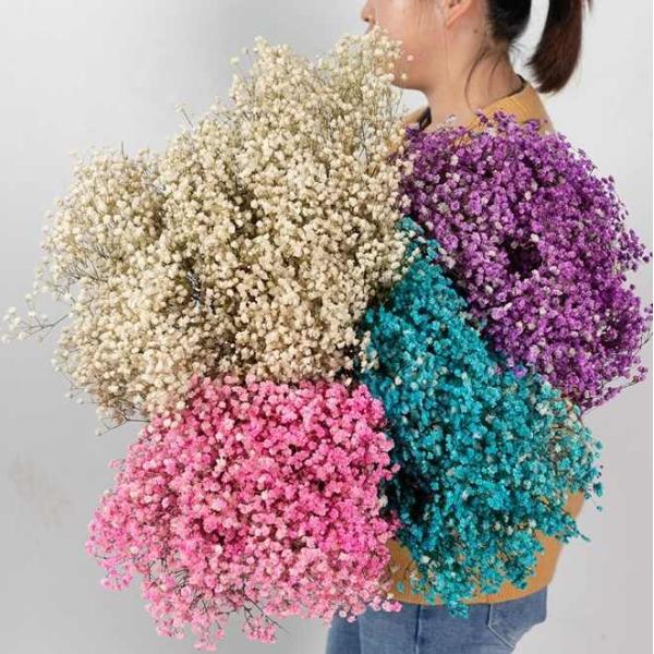 100g Dried Flower Artificial Bouquet Baby Breath Gypsophila Flower Wedding Decor Centerpiece