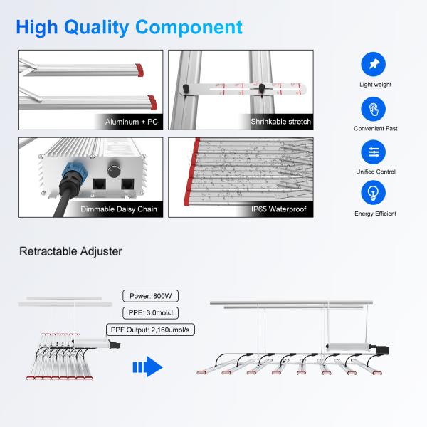 Отсоединяемый источник питания Внутренний светодиодный свет для роста 800 Вт 2200 Умоль / С для цветения