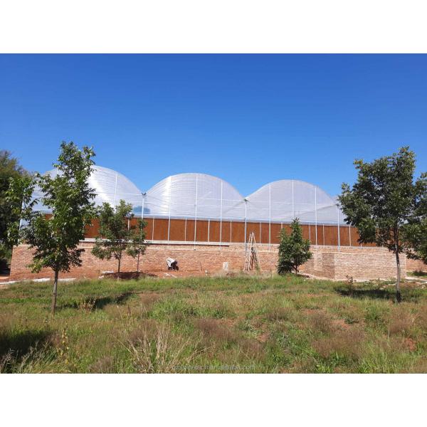 Водопарительная охлаждающая подушка для куриной фермы горячее погружение оцинкованная стальная алюминиевая рама