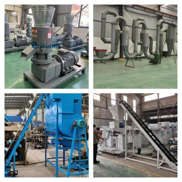 Pelletizer à bois Rise Husk Coco Shell Serre-poussière Pellets Mill Biomasse Pellets ligne de production